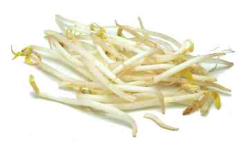 Germinado de Soya