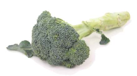 Brocoli