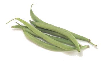 Ejotes