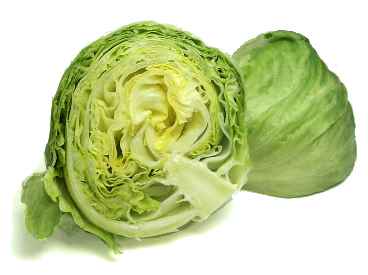 Lechuga